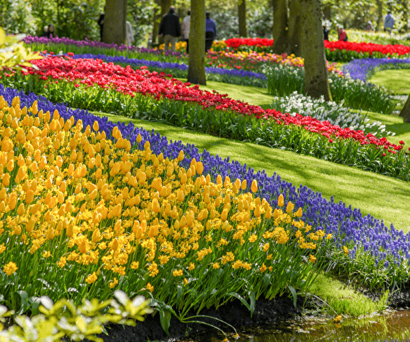 Het mooiste lentepark ter wereld!